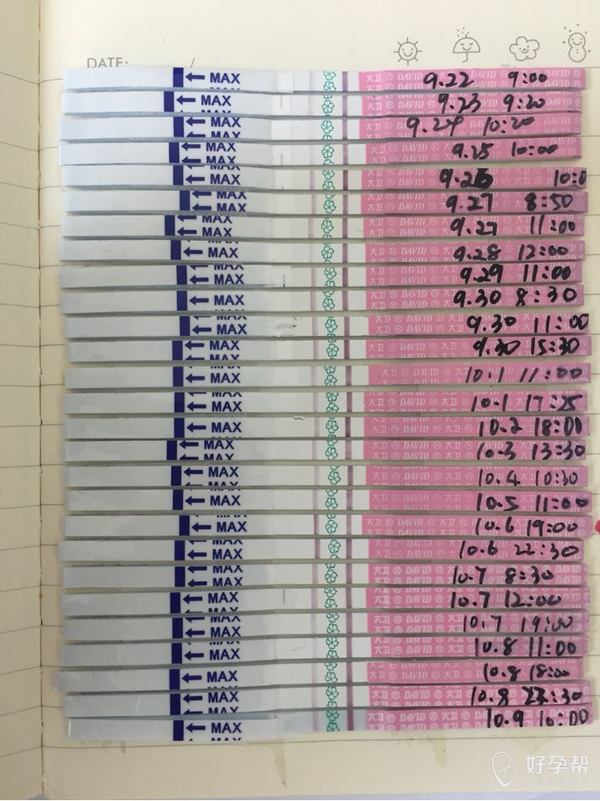 排卵试纸强阳后一般多久变白板呢?