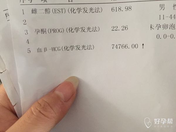 吃什么能提高hcg gw-topic