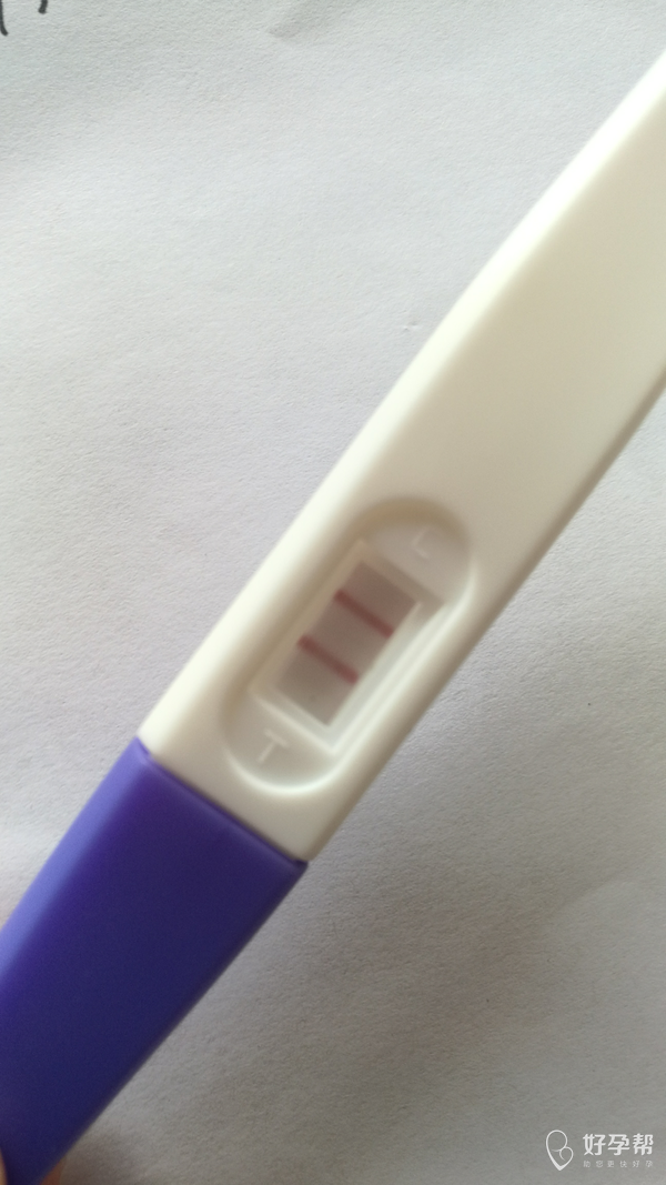 严重多囊 加上输卵管双侧不通畅 试纸双杠 是喜是忧不知道呢!