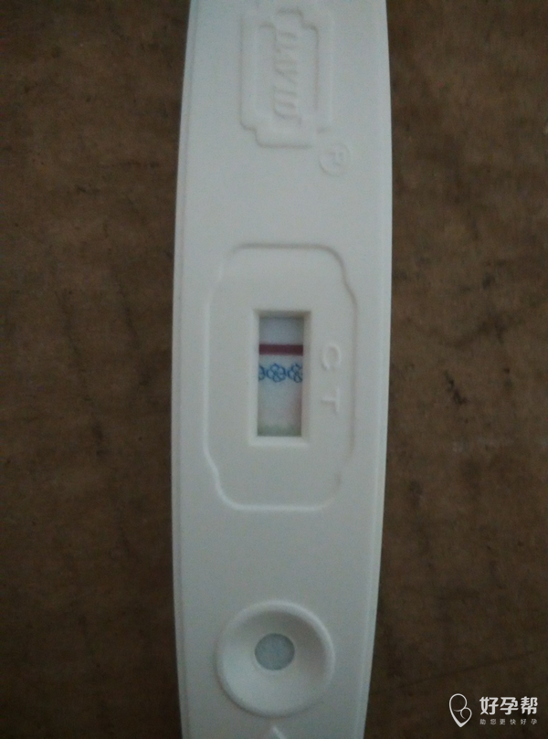 二条杠是怀孕吗 gw-topic