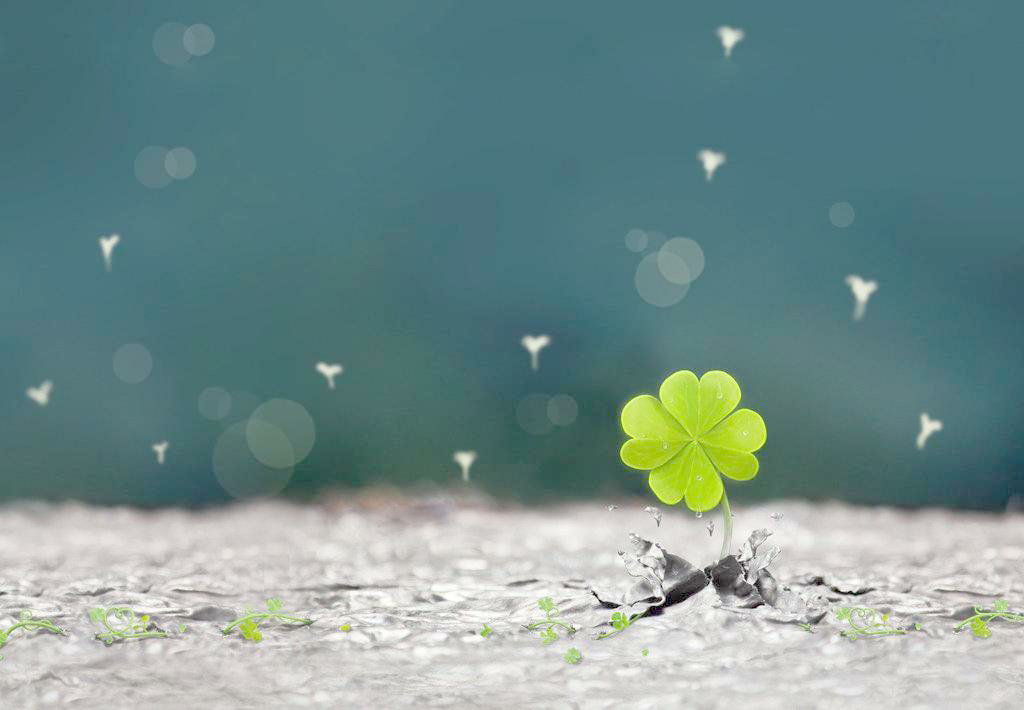 坦然面对接受现实050505