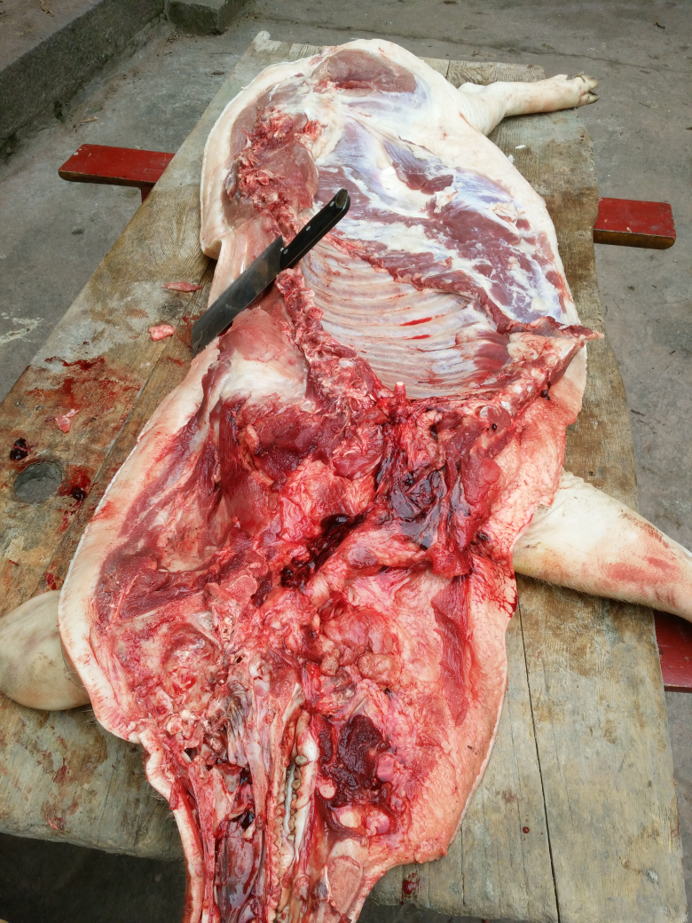 攸县杀猪肉的图片图片
