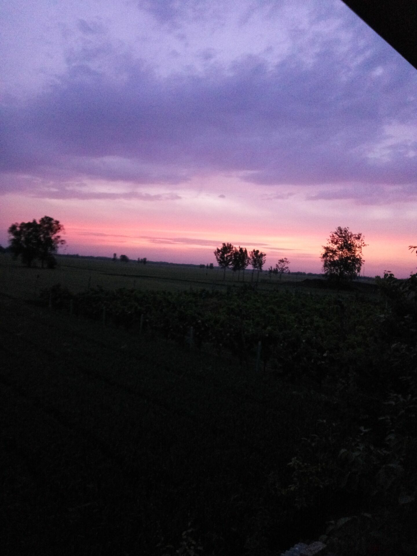 昨天天快黑时候拍的也很美