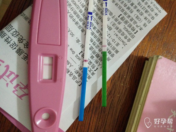 排卵两条杠早早孕白板40天了有和我一样的没