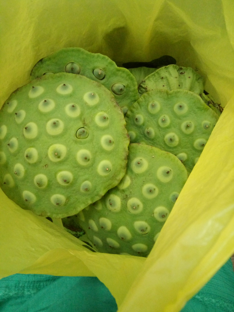 宝妈们爱吃莲蓬米吗97?