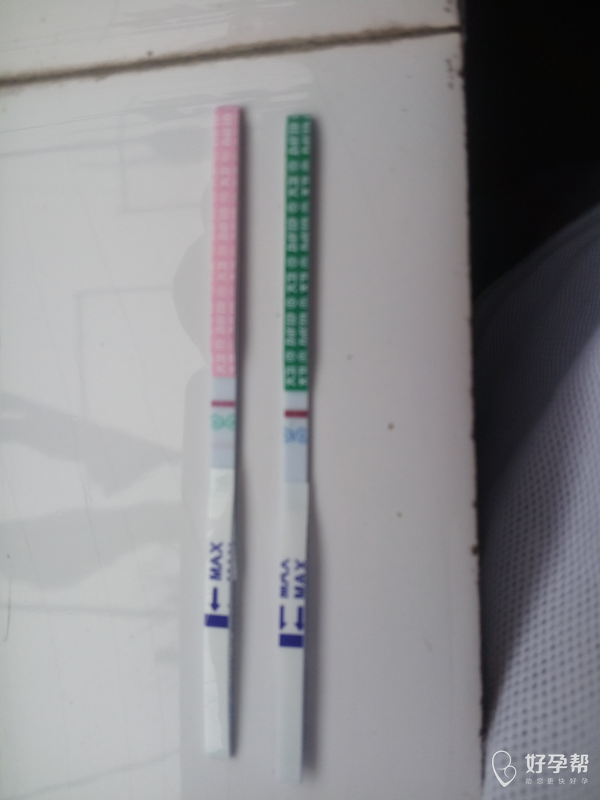 怀孕半个月试纸能测出来不 gw-topic