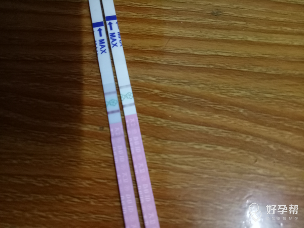 有姐妹帮帮忙看下大卫排卵试纸这样算强阳么?