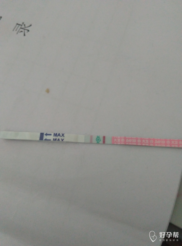 排卵期试纸怎样知道是否排卵 gw-topic
