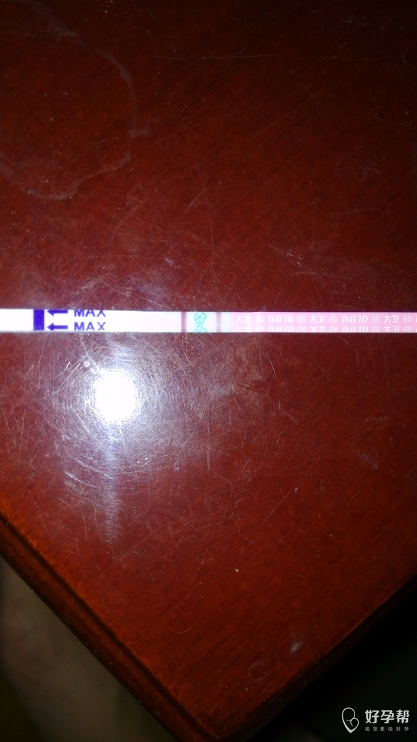 排卵试纸强阳后多久会排卵,什么时候安排合适