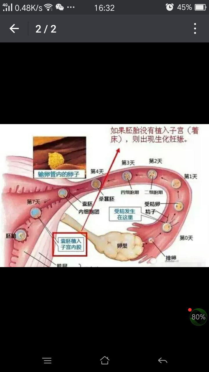 什么是生化妊娠你知道