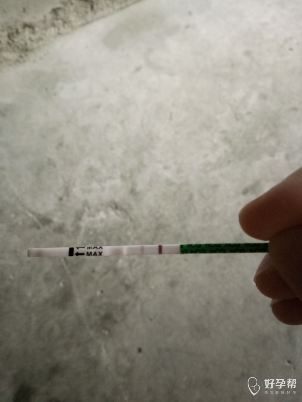 测孕纸越来越浅,怀孕46天,姐妹们,快点帮我看下