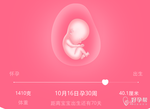 期待宝宝的到来妈妈爱你