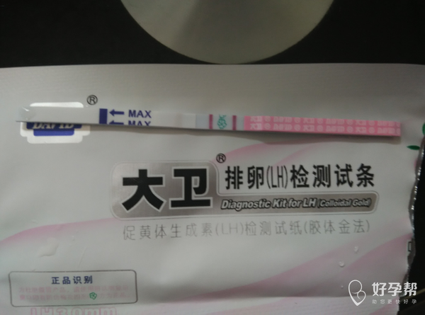 排卵期试纸怎样知道是否排卵 gw-topic