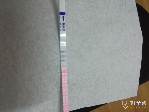 排卵期试纸怎样知道是否排卵 gw-topic
