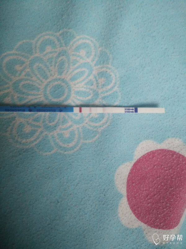 刚刚测的早早孕!是怀孕了吗?