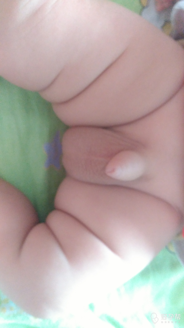 大家看看这两个宝宝的鸡鸡好看吗