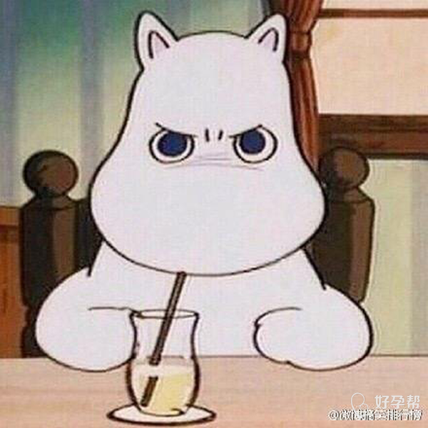 超喜欢肥嘟嘟的形象,尤其是脸大肉乎乎的-情感交流圈-好孕帮