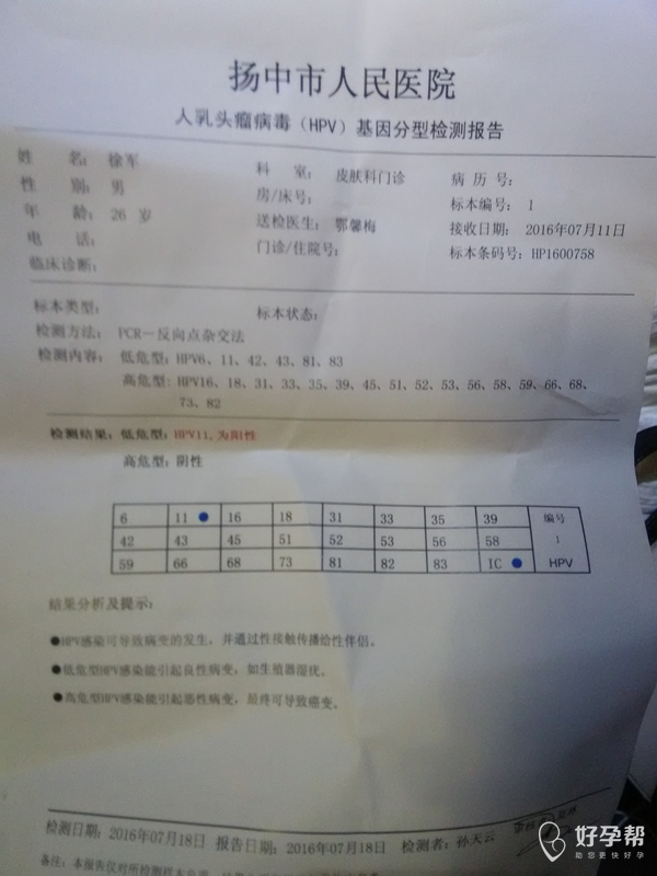 万能的圈子请问hpv11阳性可以怀孕吗