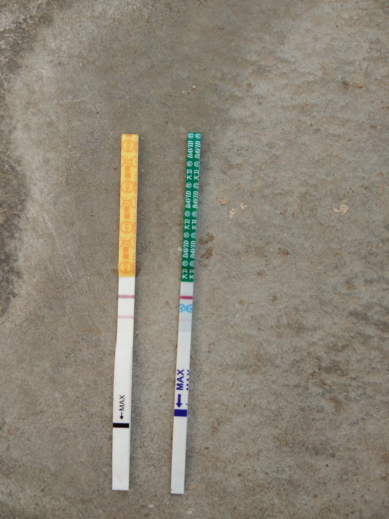 金秀儿早孕敏感度高,金秀儿是昨天测的,大卫是今天早上测的