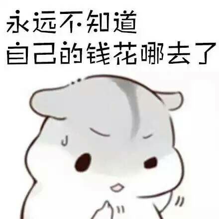 永远不知道钱哪里去了但就是没了