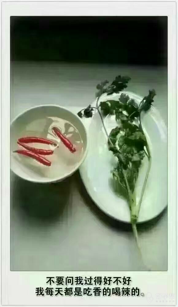 不要问我过的好不好我天天都是吃香的喝辣的