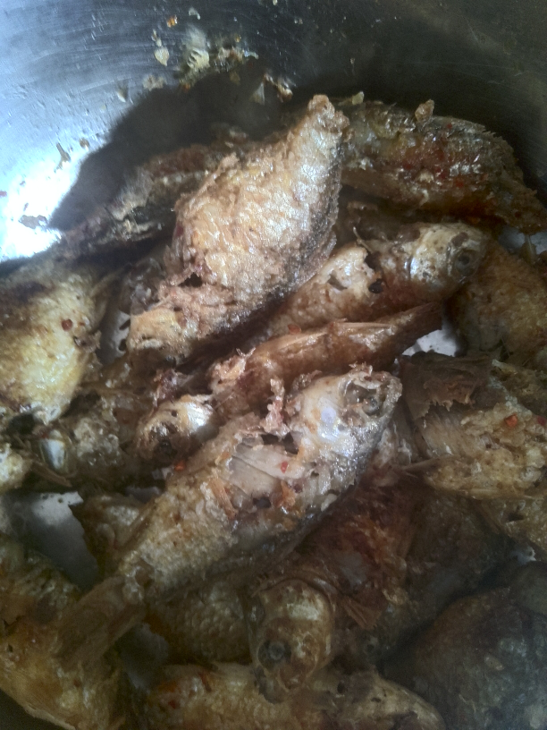 自己做的小焦鱼