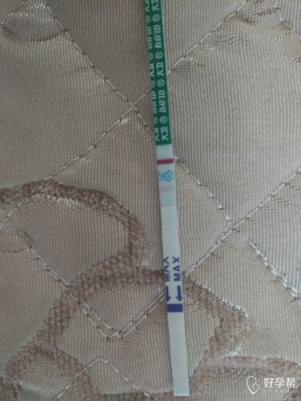 刚刚测的,是怀孕了吗.希望不是咋胡
