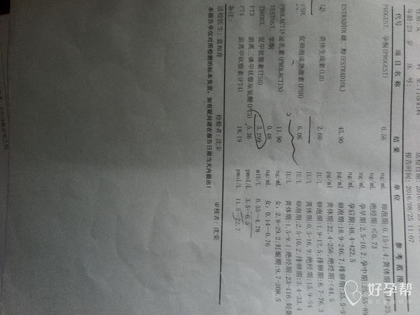 曲谱瑞林破卵针怀孕_验孕棒怀孕图片(4)