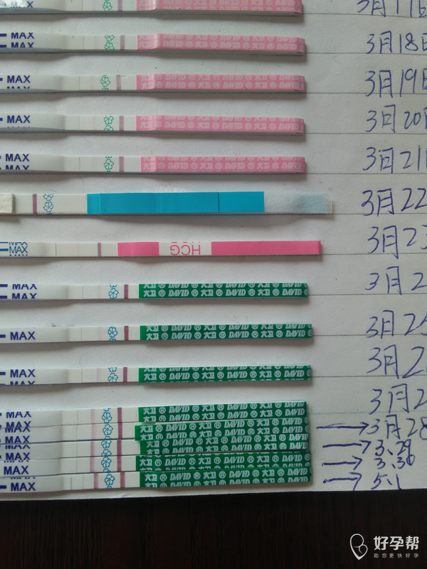 我末次3月30,排卵14.排卵后的第八天测出怀孕.