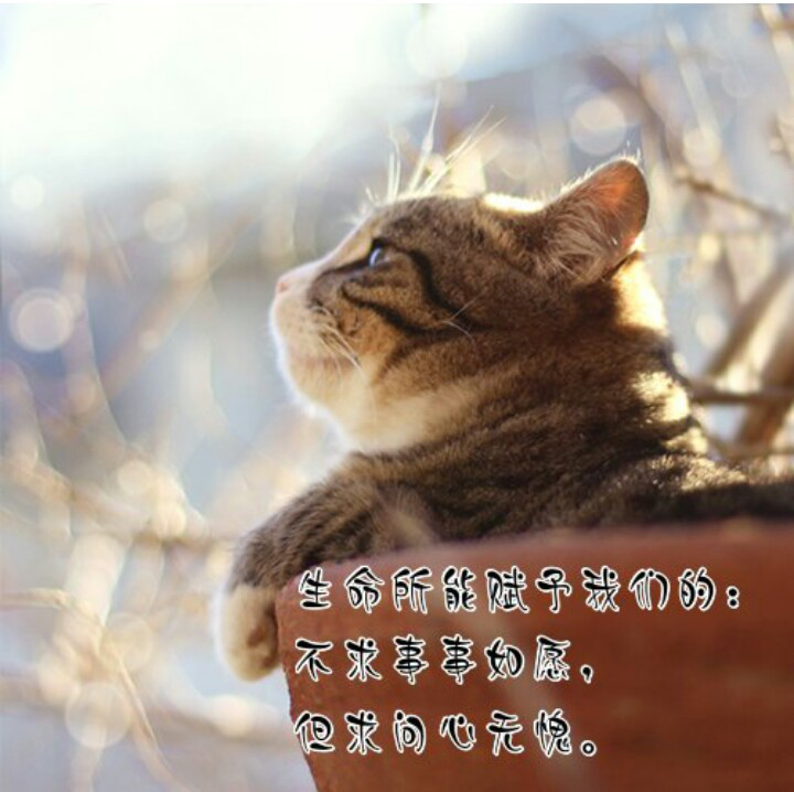 做个问心无愧的人.