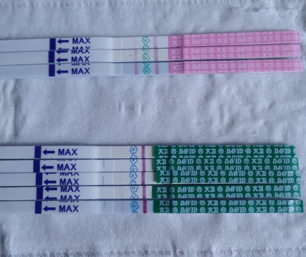 今天早上測的早早孕和排卵試紙都在加深了