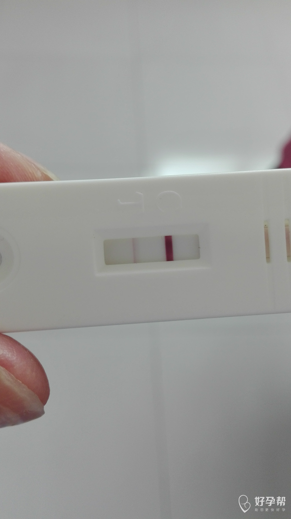 二条杠是怀孕了吗 gw-topic