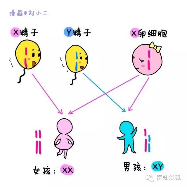 男女之事宝宝图片