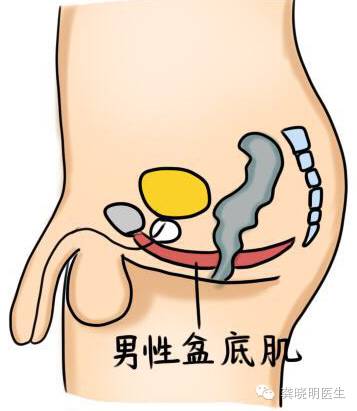 性生活不滿意?凱格爾大叔來幫你