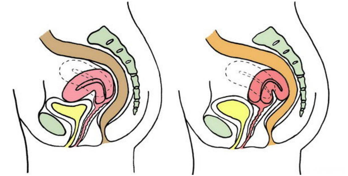 旋转跳跃我闭著眼子宫看不见你后位了没
