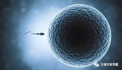 做试管婴儿仅1个卵泡先别急，6种方式提升卵子质量