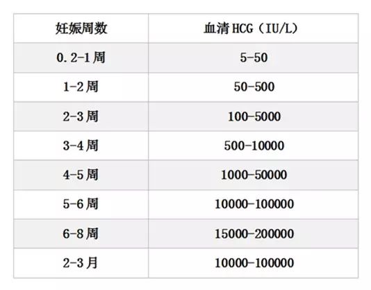 測量血hcg值,到底有什麼意義呢?