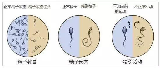 "受精游戏"攻略