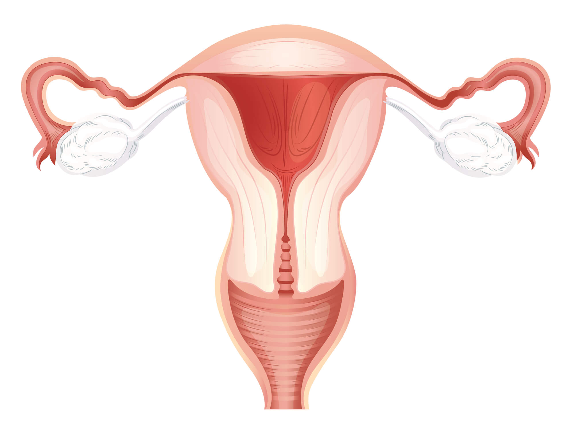 怎样预防卵巢早衰