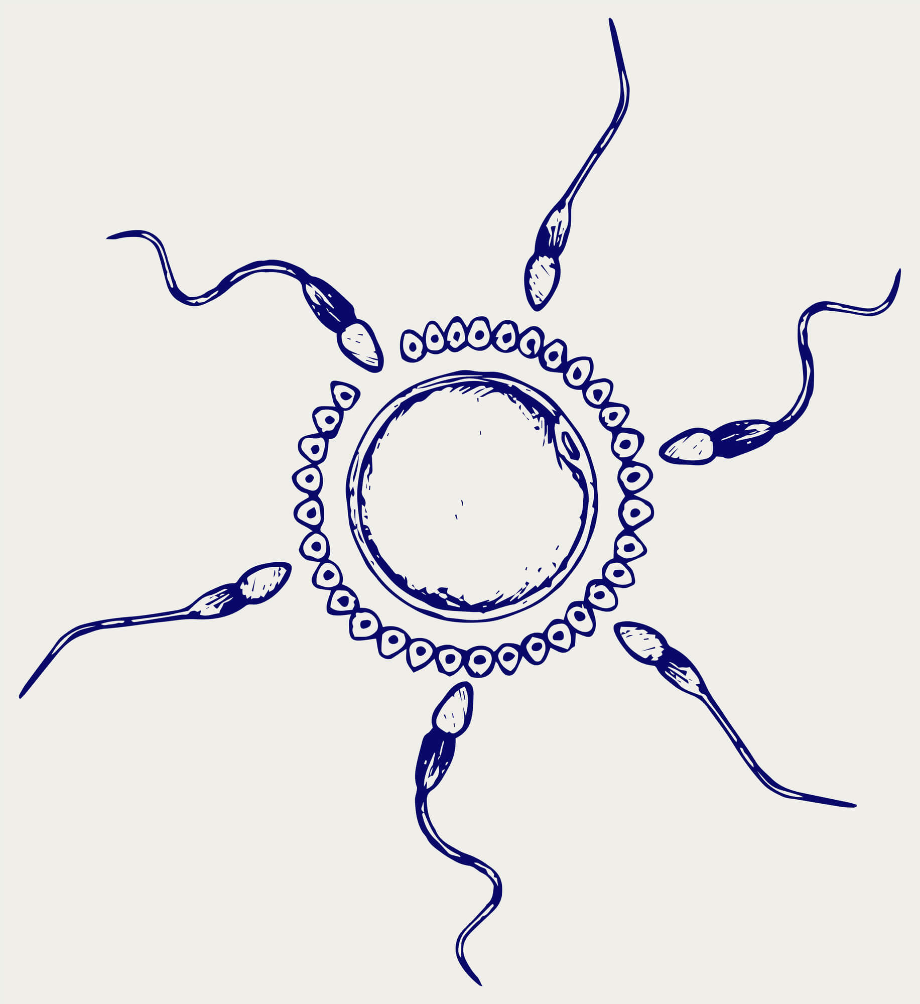 什么时候备孕最好