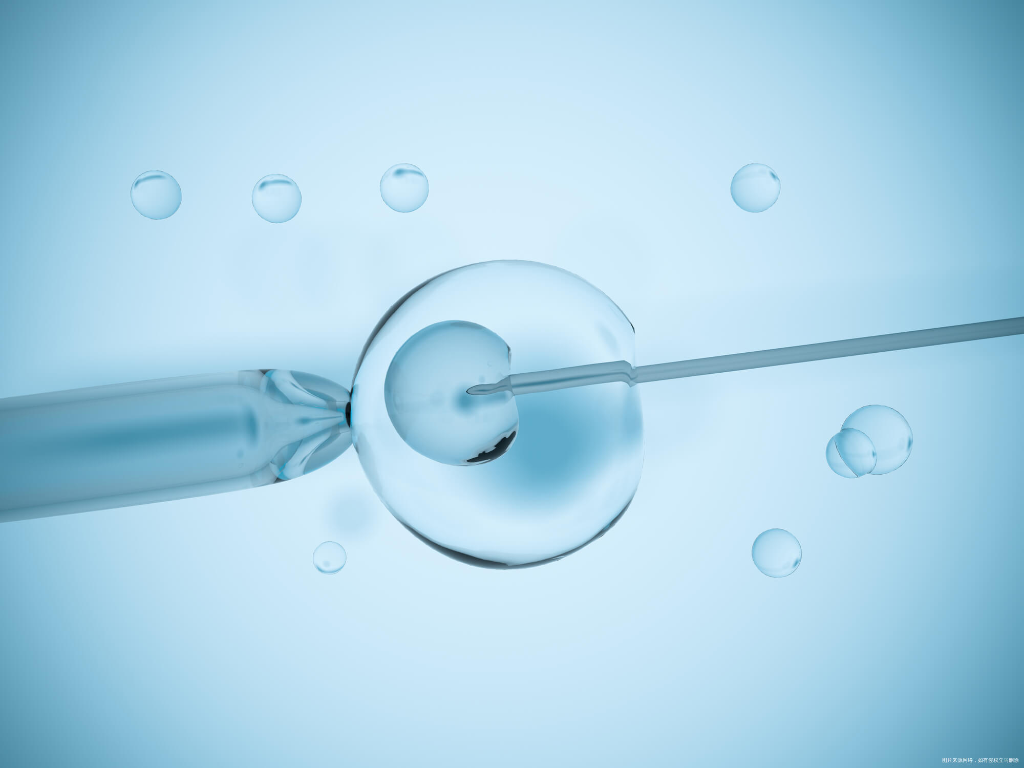什么是人工受精