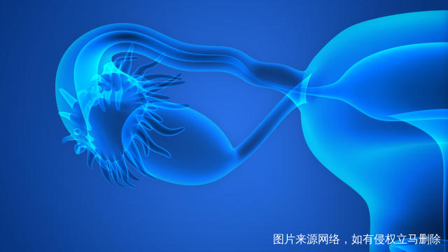 卵巢早衰的表现是什么