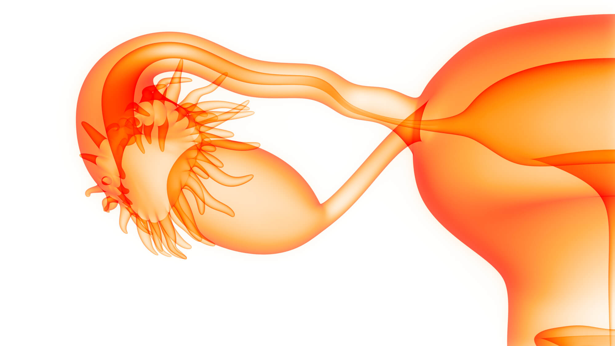 卵巢早衰的治疗方法