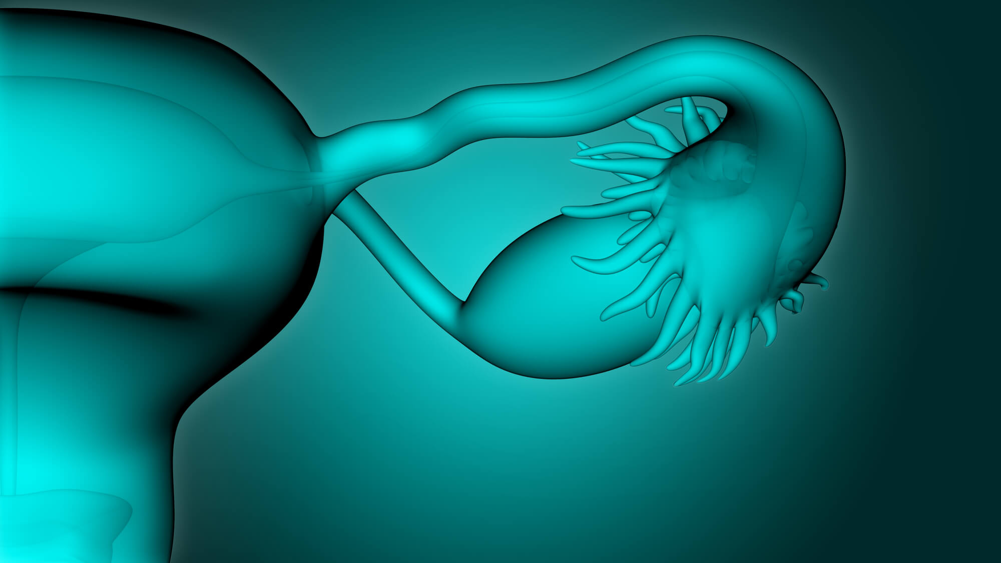 卵巢早衰怎么治疗