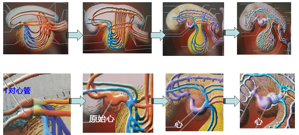 360截图16251115575576.png
