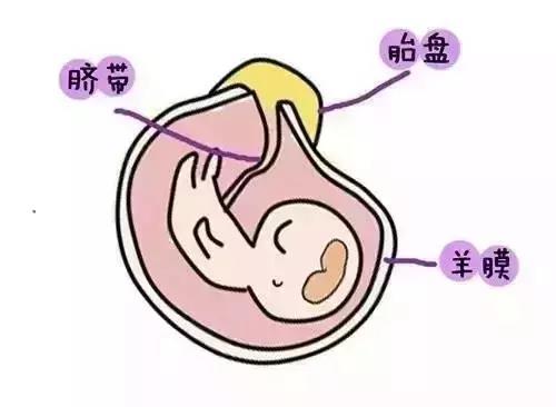 微信图片_20180829174041.jpg