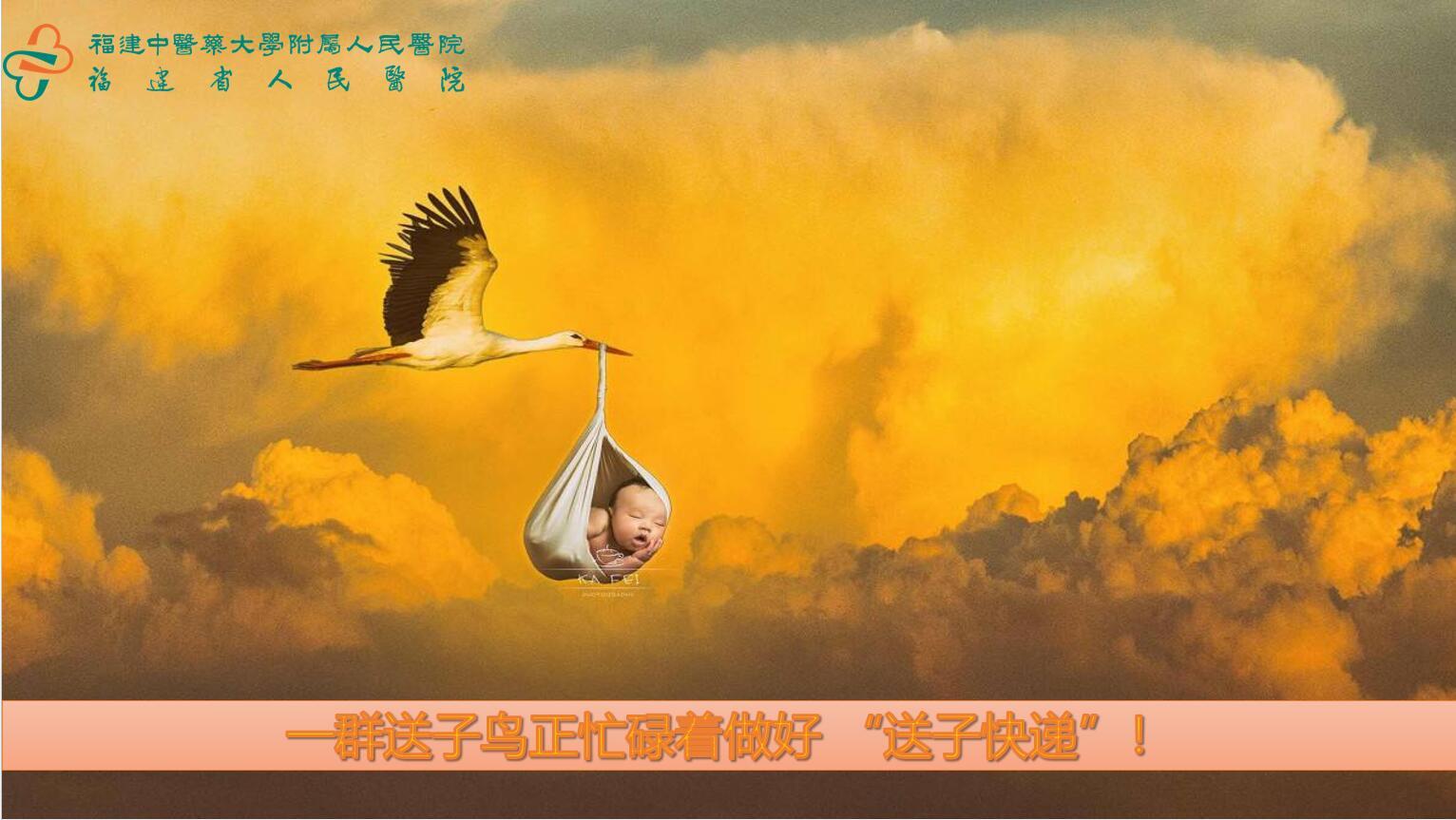 一群送子鸟正忙碌着做好“送子快递”！.jpg