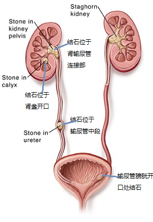 搜狗截图17年10月19日2144_9.png