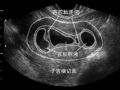 微信图片_20181011102541.jpg