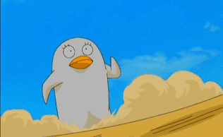 05.gif